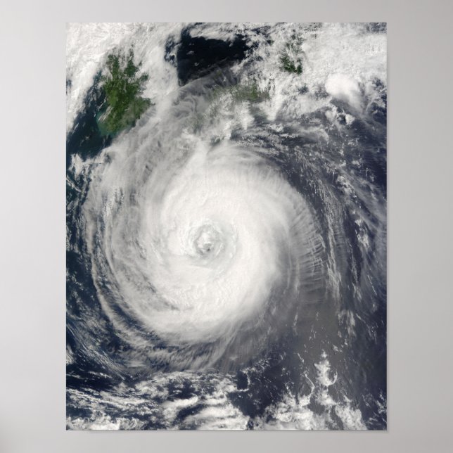Typhoon Chaba Poster (Front)