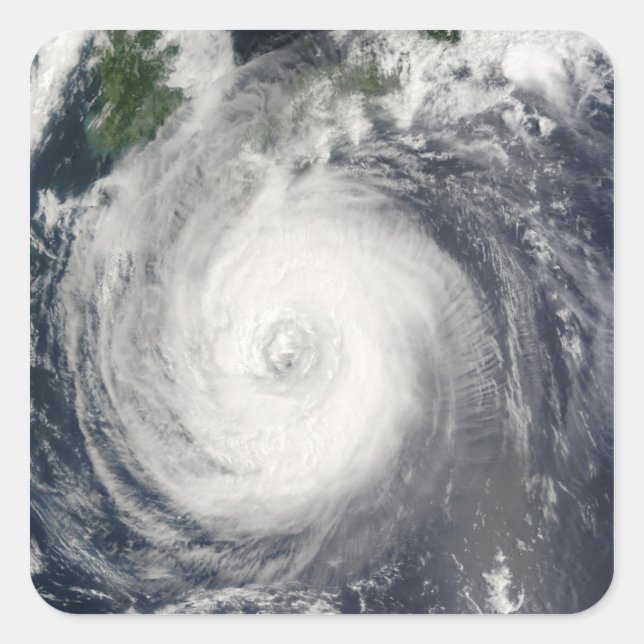 Typhoon Chaba Square Sticker (Front)
