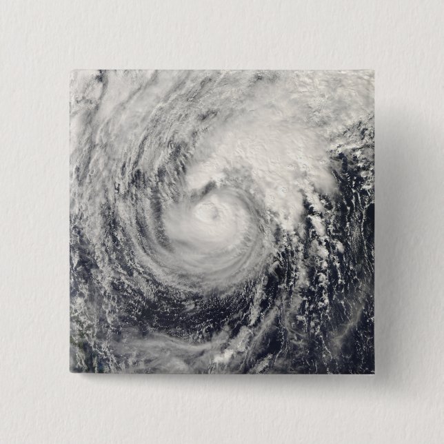 Typhoon Dolphin in the Philippine Sea 2 Inch Square Button (Front)