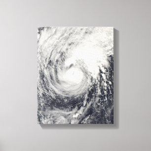 Typhoon Dolphin in the Philippine Sea Canvas Print