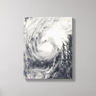 Typhoon Dolphin in the Philippine Sea Canvas Print