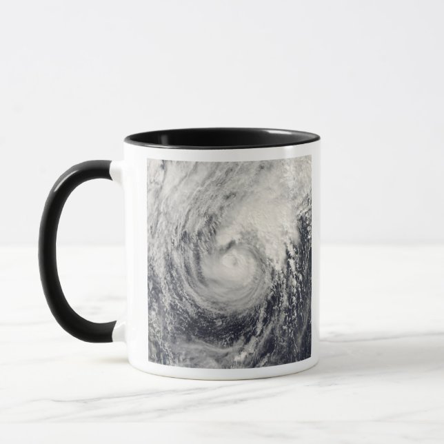 Typhoon Dolphin in the Philippine Sea Mug (Left)