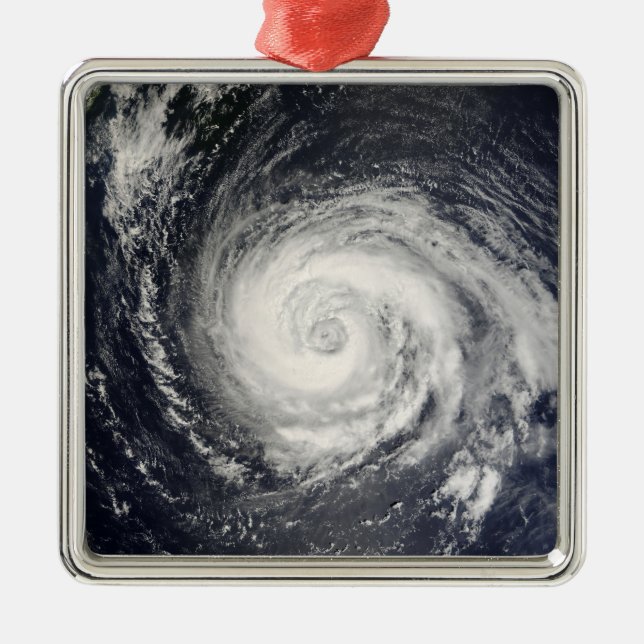 Typhoon Fitow Metal Ornament (Front)