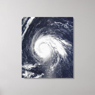 Typhoon Higos Canvas Print