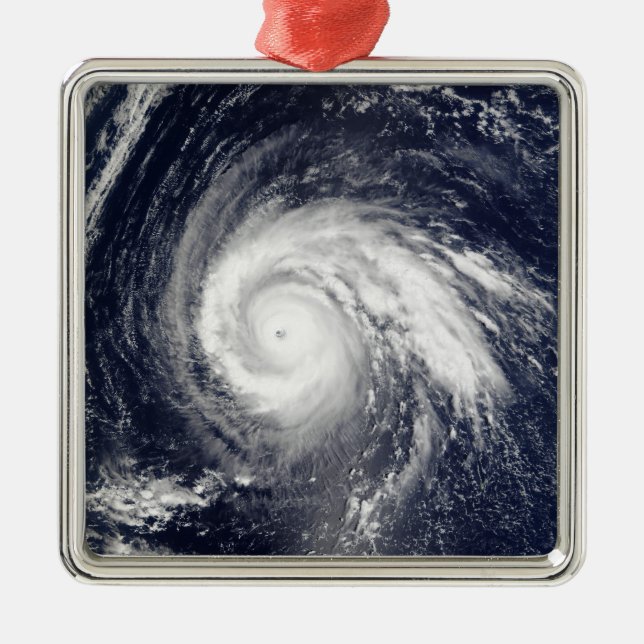 Typhoon Higos Metal Ornament (Front)