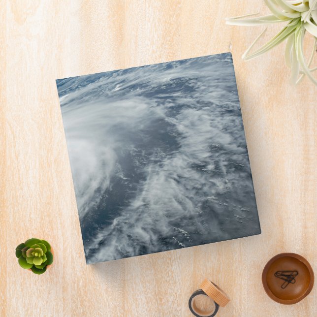 Typhoon Hinnamnor. Binder (In Situ)