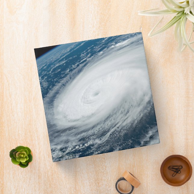 Typhoon Hinnamnor. Binder (In Situ)