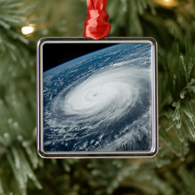 Typhoon Hinnamnor. Metal Ornament (Tree)