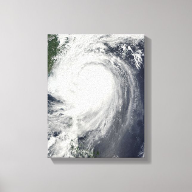 Typhoon Jangmi Canvas Print (Front)