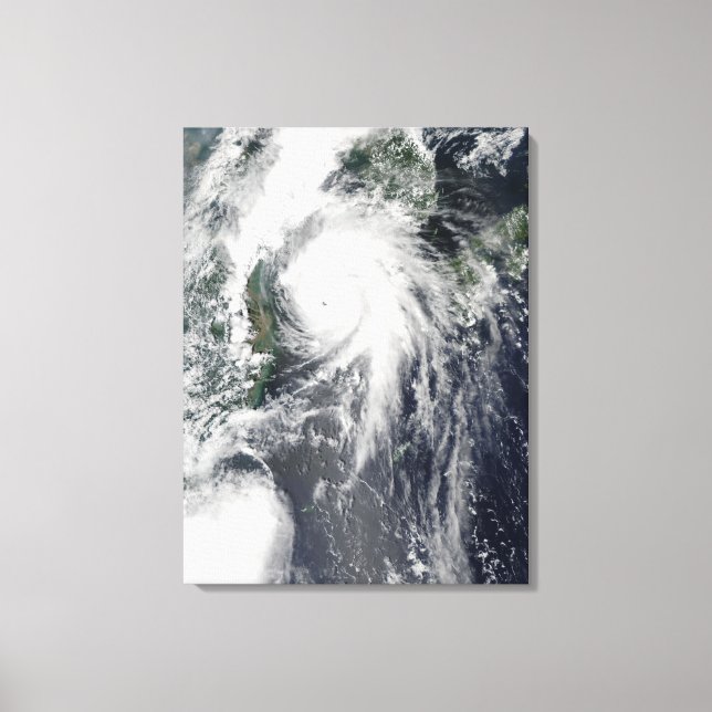 Typhoon Kompasu Canvas Print (Front)