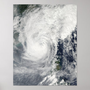 Typhoon Megi 3 Poster