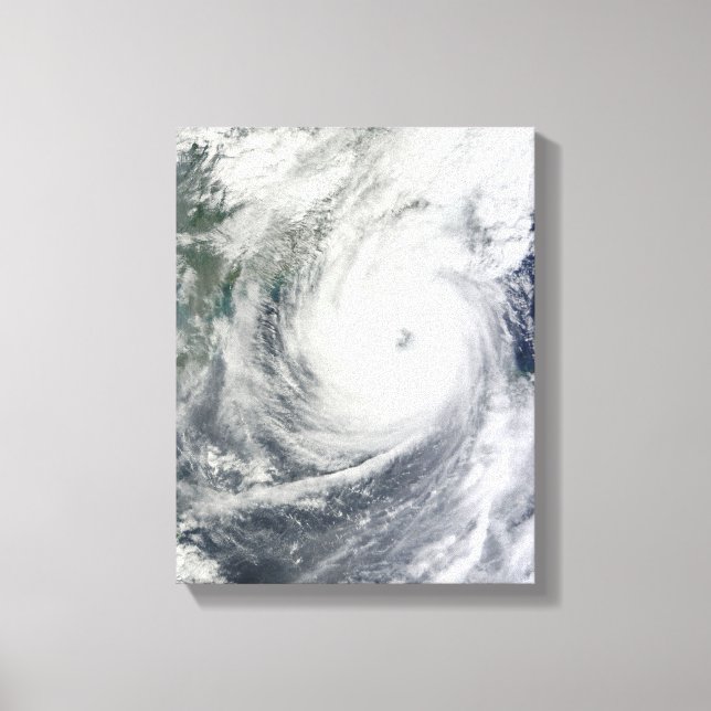 Typhoon Megi 4 Canvas Print (Front)