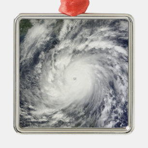 Typhoon Megi Metal Ornament