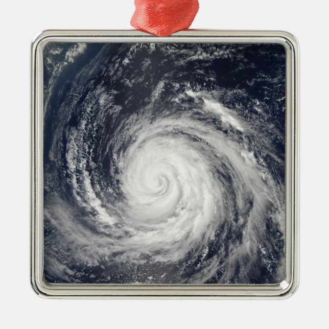 Typhoon Rusa Metal Ornament (Front)