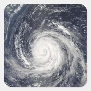 Typhoon Rusa Square Sticker