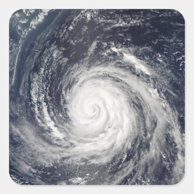 Typhoon Rusa Square Sticker (Front)