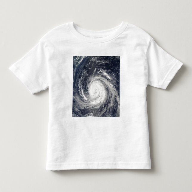Typhoon Rusa Toddler T-shirt (Front)