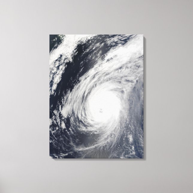 Typhoon Sudal south of Japan 3 Canvas Print (Front)