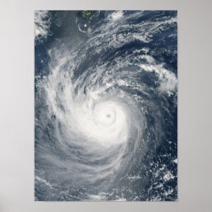 Typhoon Taim Poster