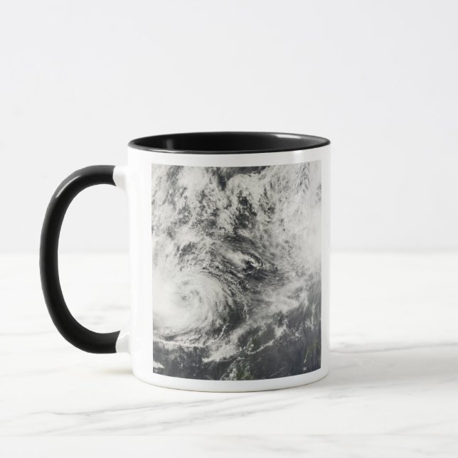 Typhoons Mitag and Hagibis Mug (Left)