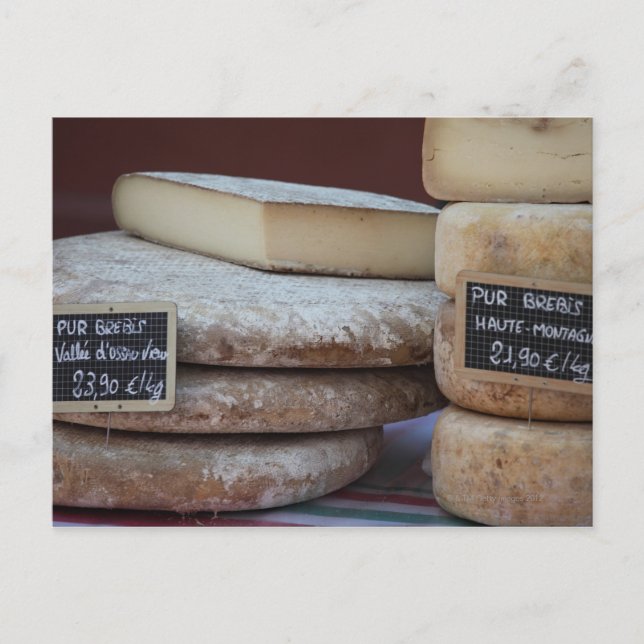 typical cheeses of pyrenees postcard (Front)