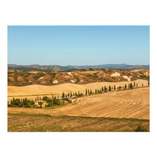 Typical landscapes for Siena Province in Tuscany Photo Print