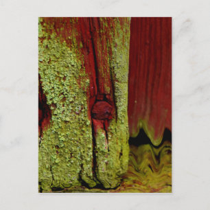 Typical Swedish Falun red colour, very popular in Postcard