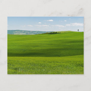 Typical Tuscany Landscape with Hills - Italy Postcard