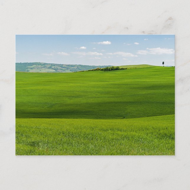 Typical Tuscany Landscape with Hills - Italy Postcard (Front)