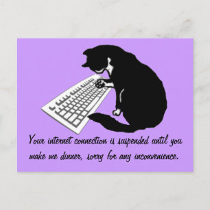 Typing Cat Postcard