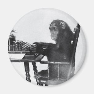 Typing Monkey Magnet