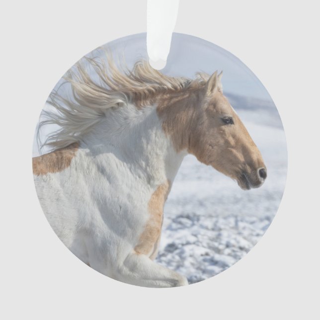 Tyr tourne dans l'ornement de neige (devant)