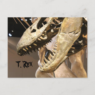 Tyrannosaurus # 3 postcard
