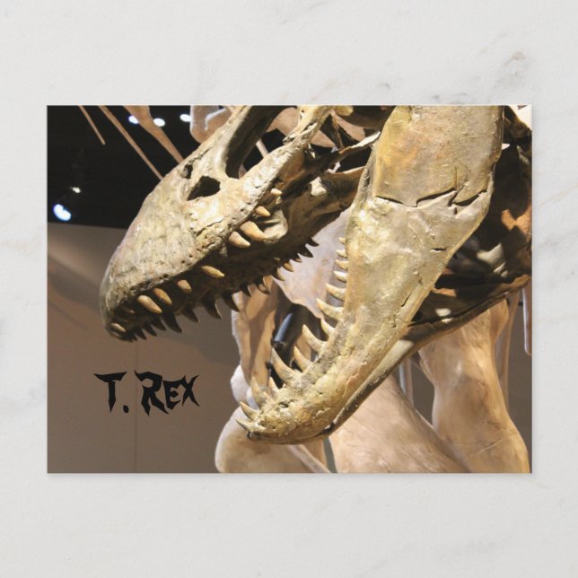 Tyrannosaurus # 3 postcard (Front)