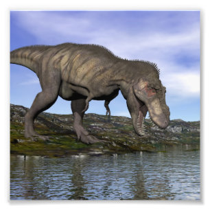 Tyrannosaurus rex dinosaur - 3D render Photo Print