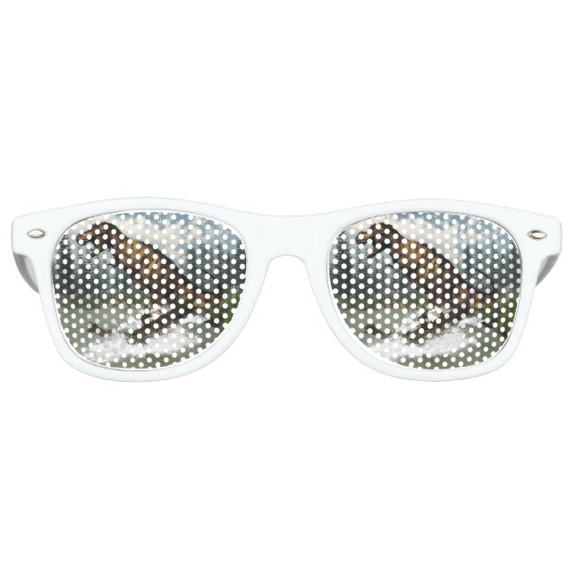 Tyrannosaurus rex dinosaur attacked by deinosuchus retro sunglasses (Front)