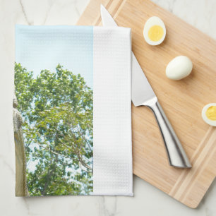 Tyrannosaurus Rex dinosaur Kitchen Towel