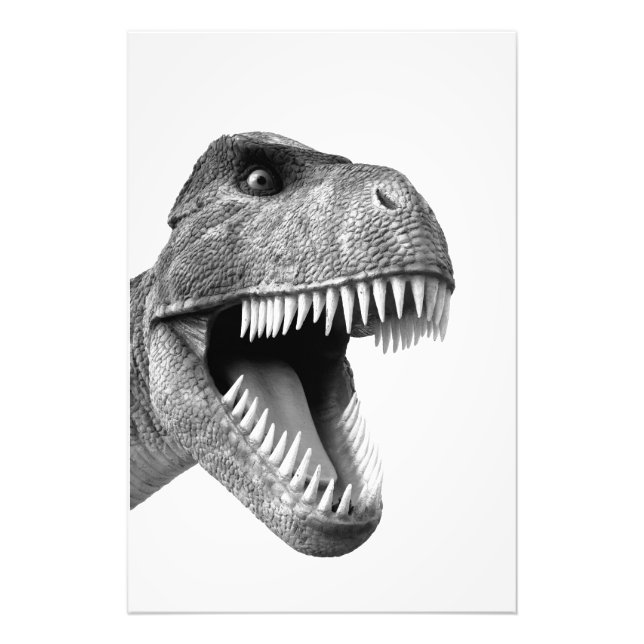 Tyrannosaurus Rex Photo Print (Front)