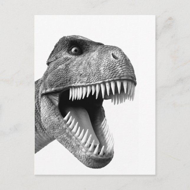 Tyrannosaurus Rex Postcard (Front)
