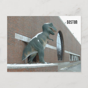 Tyrannosaurus Rex Postcard