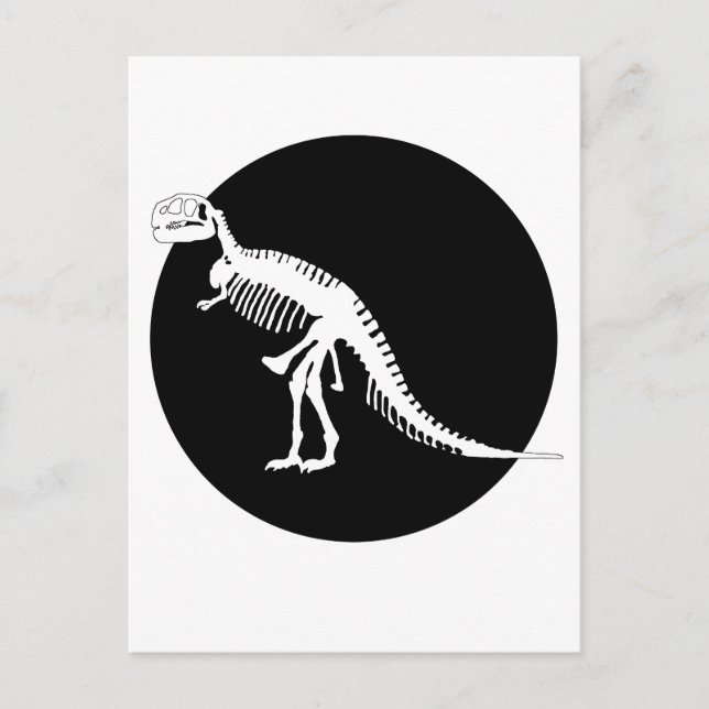 Tyrannosaurus Rex Postcard (Front)