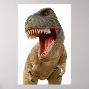 Tyrannosaurus Rex Poster