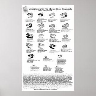Tyrannosaurus rex poster