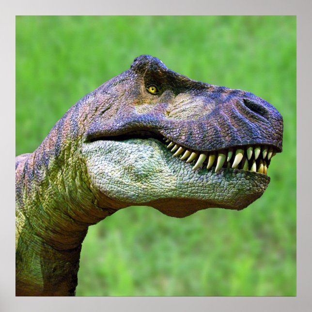 Tyrannosaurus Rex Poster (Front)