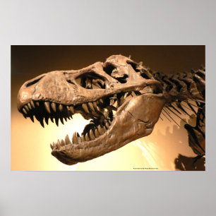Tyrannosaurus Rex Poster
