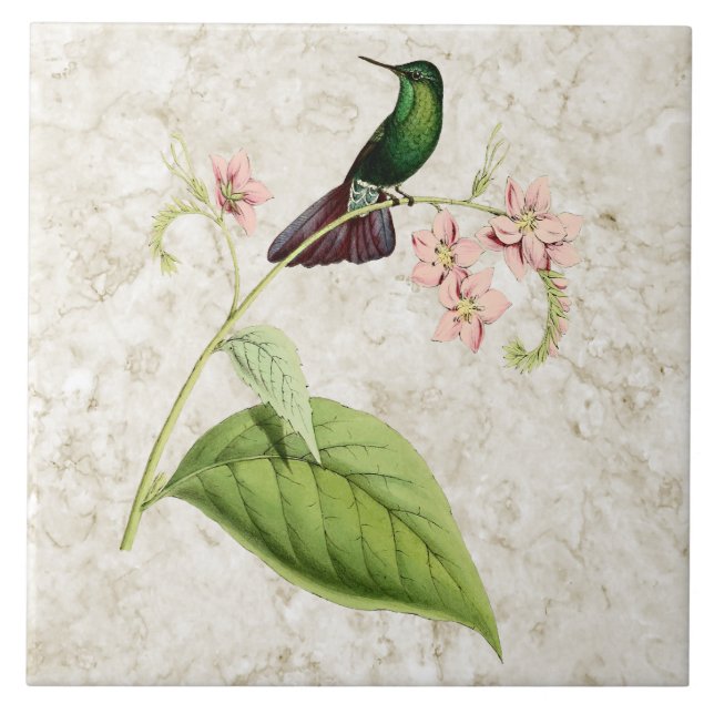 Tyrian Metal Tail Hummingbird Ceramic Tile (Front)