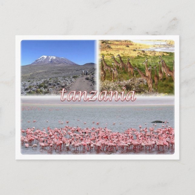 TZ - Tanzania - Postcard (Front)