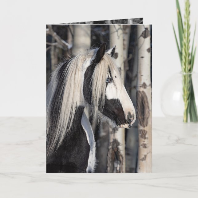 Tzigane dans la forêt - Carte de vœux de cheval de (Devant)