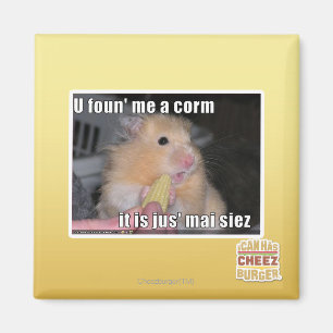 U found me a corn magnet