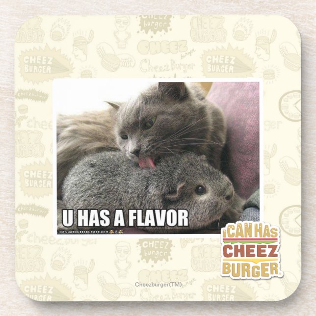 U HAS A FLAVOR COASTER (Front)